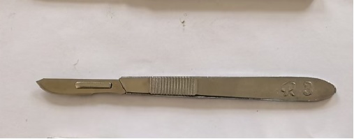 Scalpel