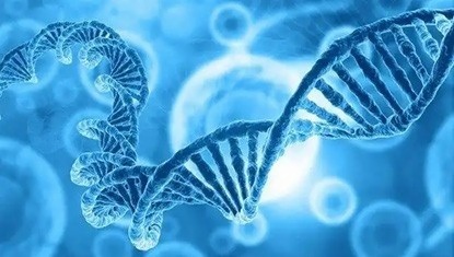 BIOLOGY