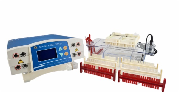 Glassroom DNA Electrophoresis Lab Station