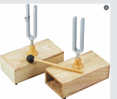 Tuning forks pair(2 pcs)
