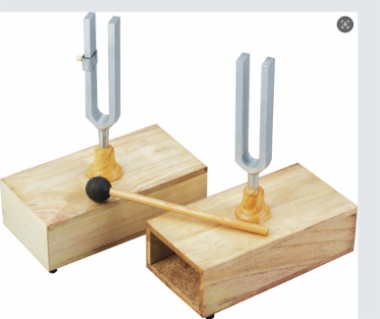 Tuning forks pair(2 pcs)